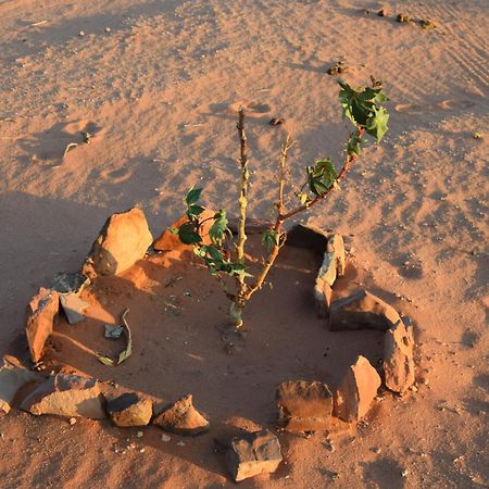 Wadi Rum Nights Exterior photo