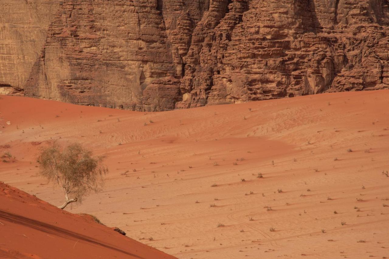 Wadi Rum Nights Exterior photo