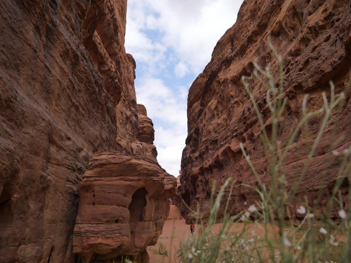 Wadi Rum Nights Exterior photo