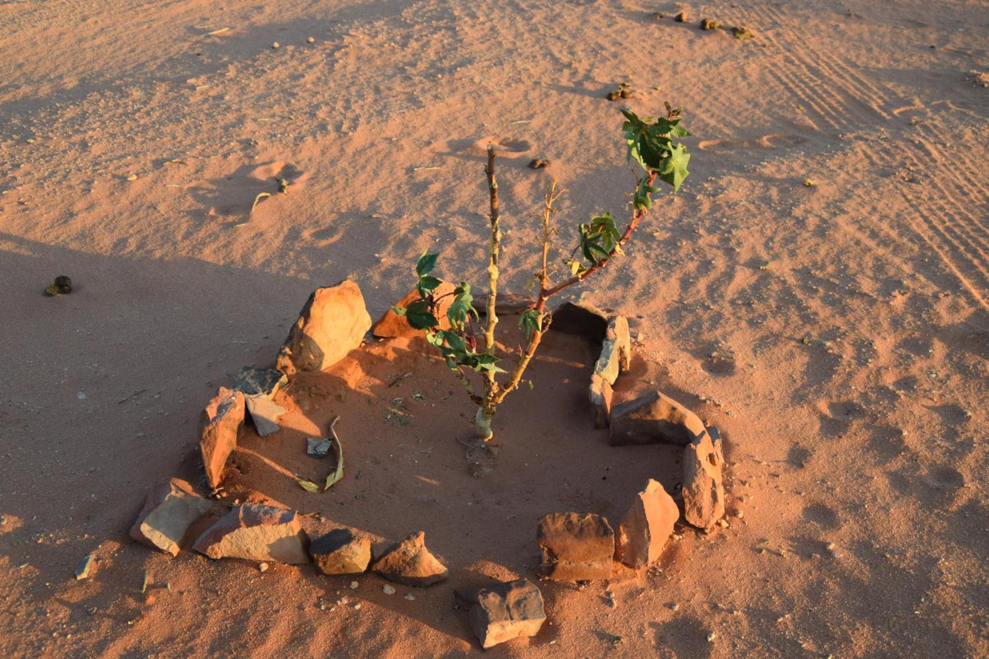 Wadi Rum Nights Exterior photo